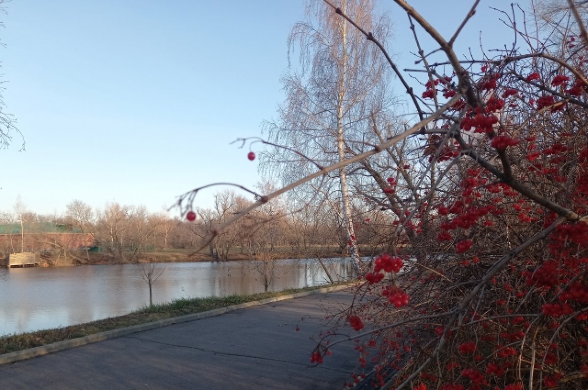    Осень «в плюсе».