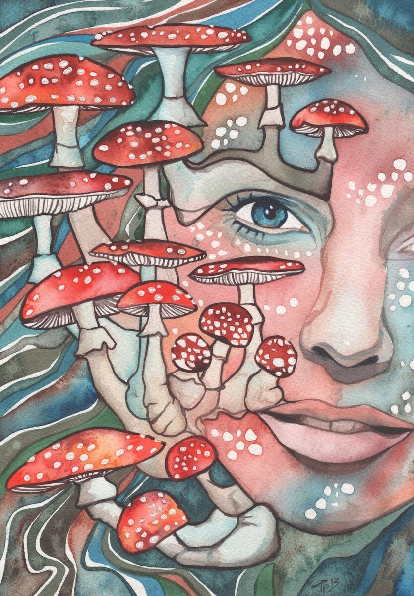 Из общедоступных источников (Яндекс-картинки) 