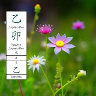 Дерево Инь на Кролике