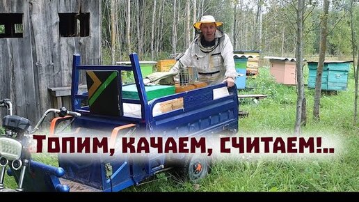 Первый раз сами качаем мёд. Сколько меда накачали ? Крольчиха-рекордсмен! Хряка-вернули!..