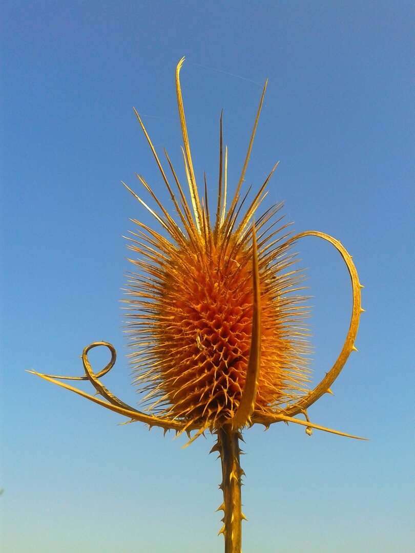 Ориби Каммпирр - Это была любовь, 2014, 10