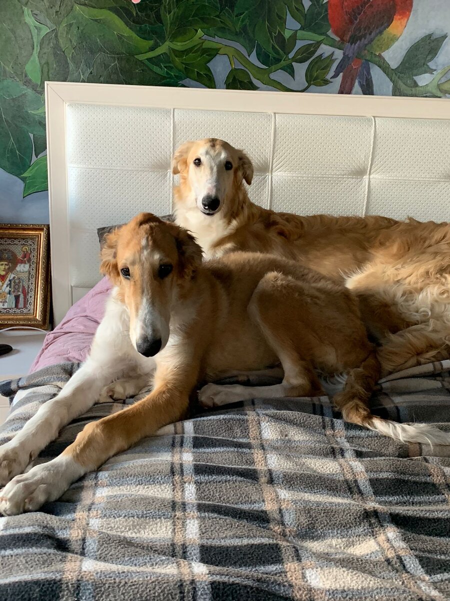 Нечай. 3 месяца с небольшим