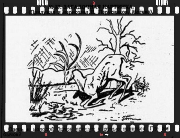 Советский тест на наблюдательность, который проверит стареет ли ваш ...