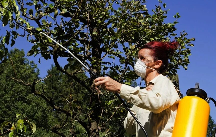 фото из интернета