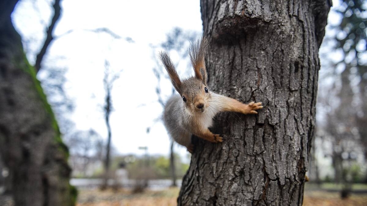    Фото: Наталья Феоктистова / Вечерняя Москва