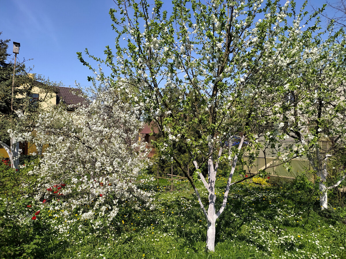 Фото: Victor Lisitsyn, Виктор Лисицын/Global Look Press