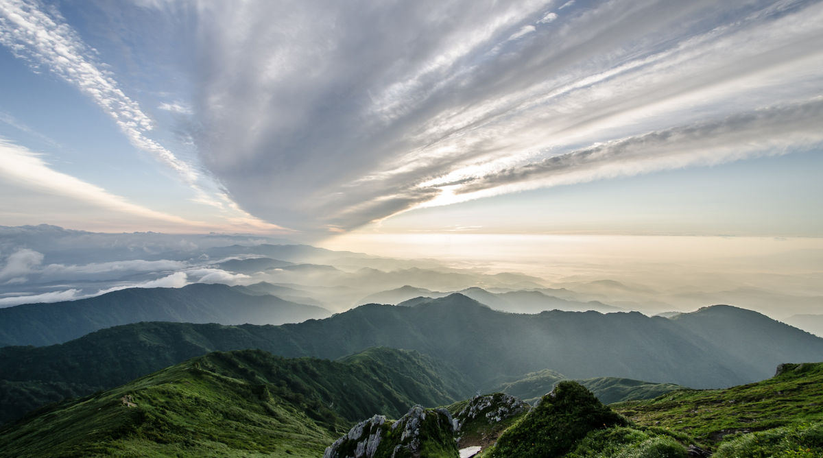 Фото сделано в программе Canva
