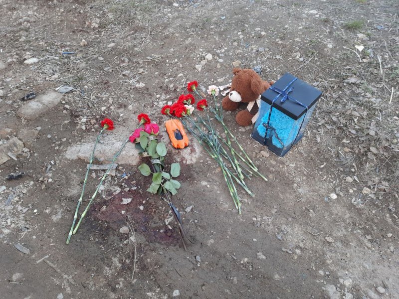 Шимпанзе напала на ребенка. Девочки 16. 7 летнюю девочку загрызли собаки. Забайкальский край девочку загрызла стая собак. Собака загрызла 6 летнюю девочку.