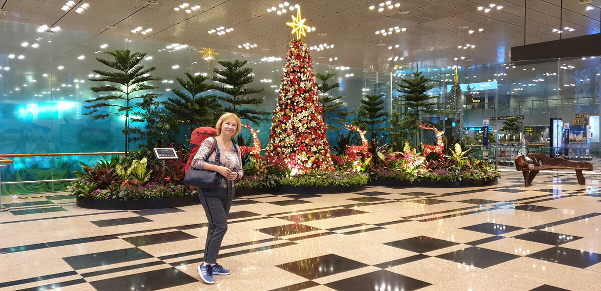 Аэропорт Сингапура