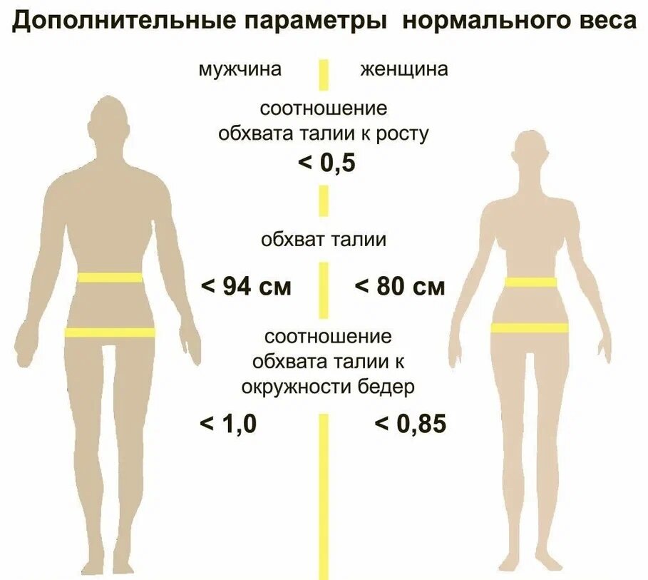 Изображение тела по параметрам