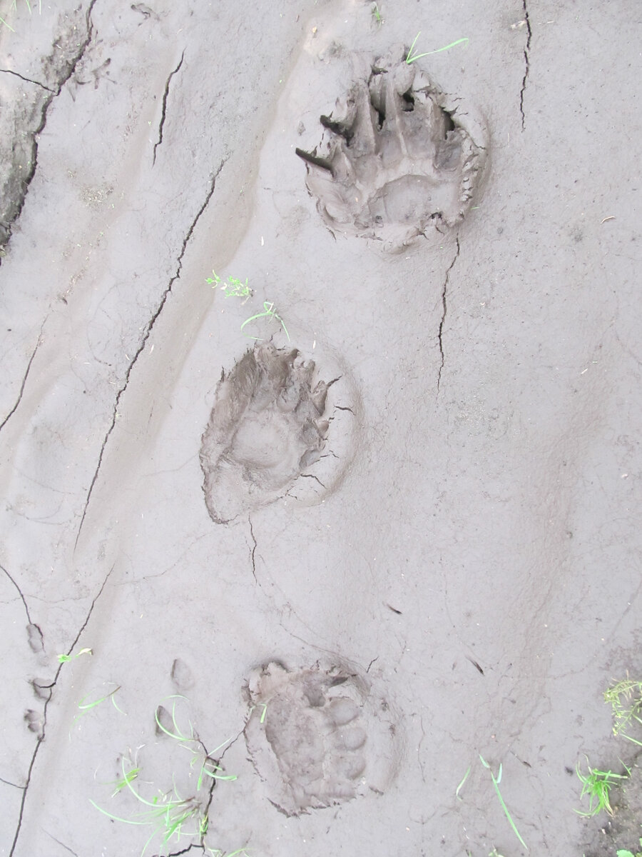 Фото автора №1