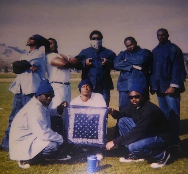 Банда Crips Краткий обзор Пощечина общественному вкусу Дзен