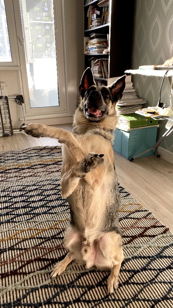 Фото- собственность канала