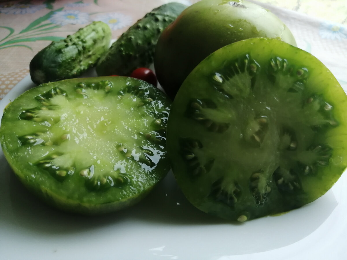 Зеленая личинка в разрезе