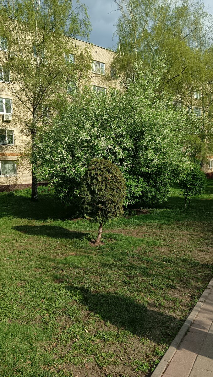 Фото автора 