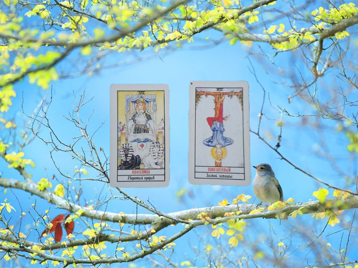 переходим к описанию