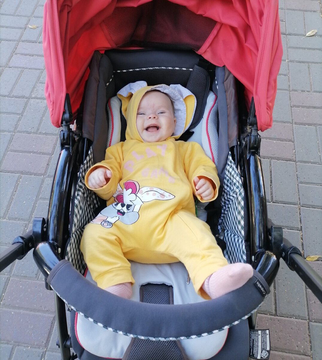 В такой коляске гулять стало повеселее