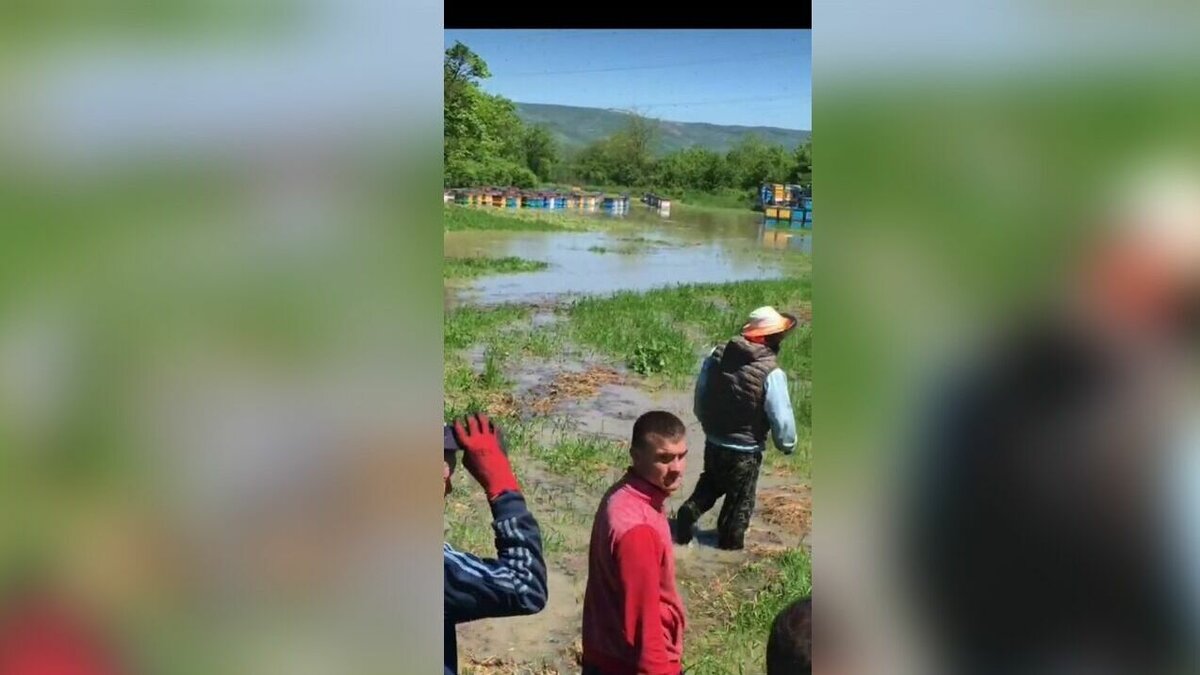 Несколько домов и пасеку затопило на Ставрополье после прорыва дамбы |  newstracker.ru | Дзен