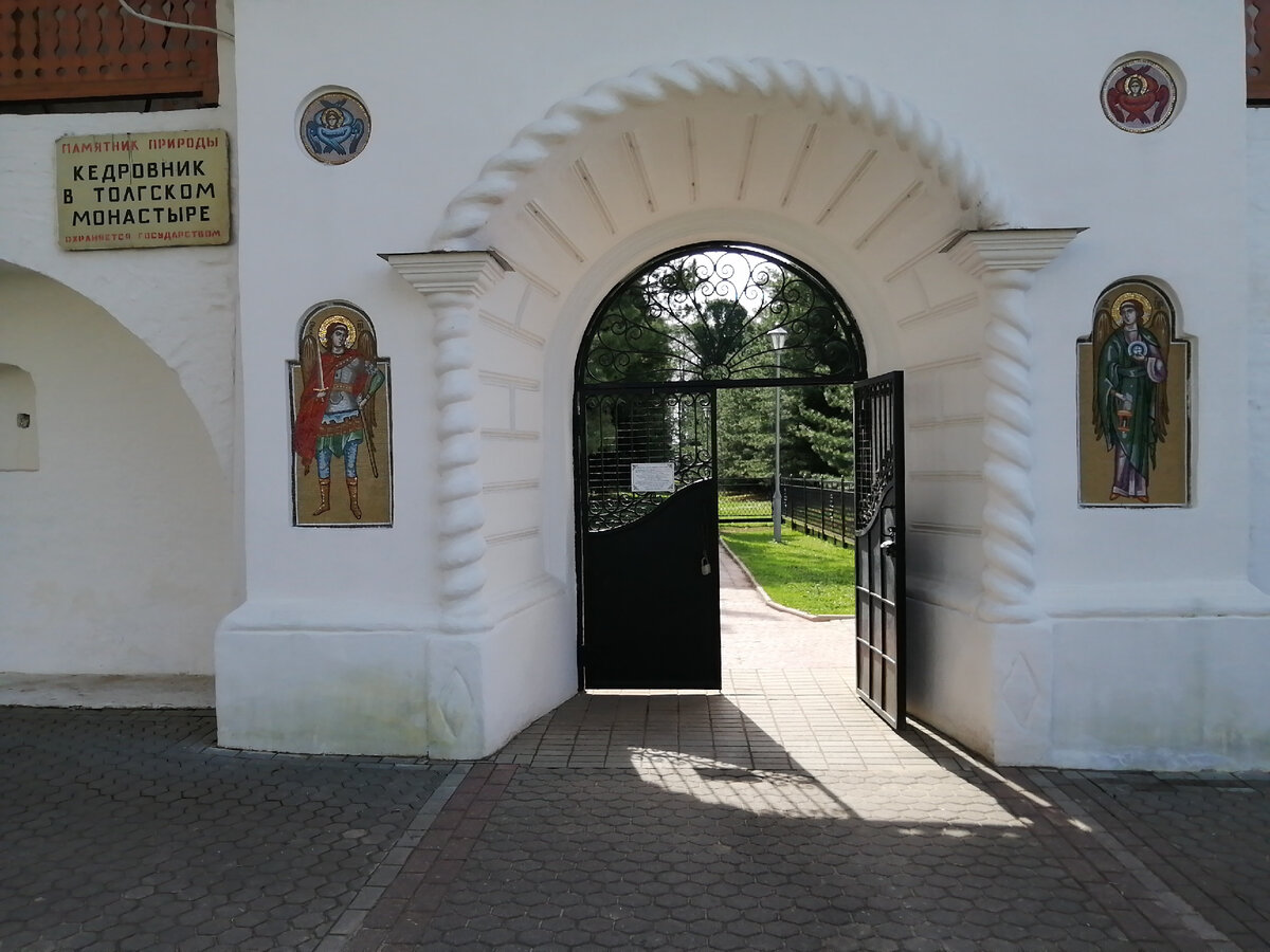 Вход в кедровник.