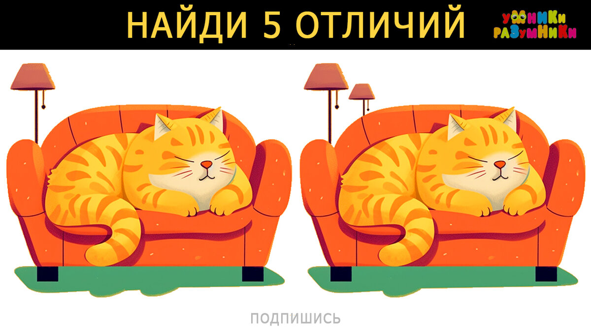5 отличий между котами