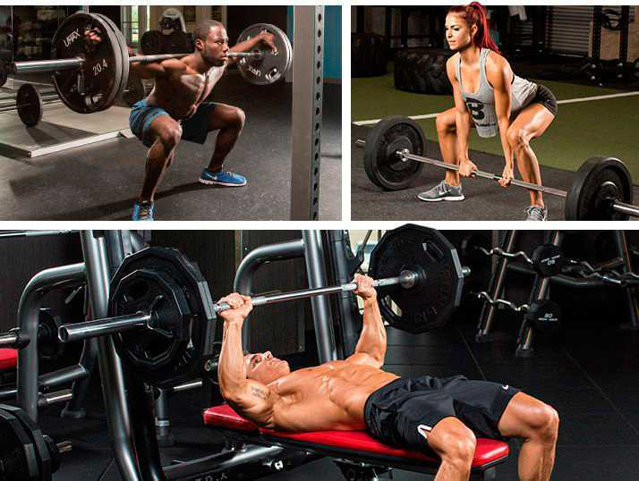 Описание упражнения