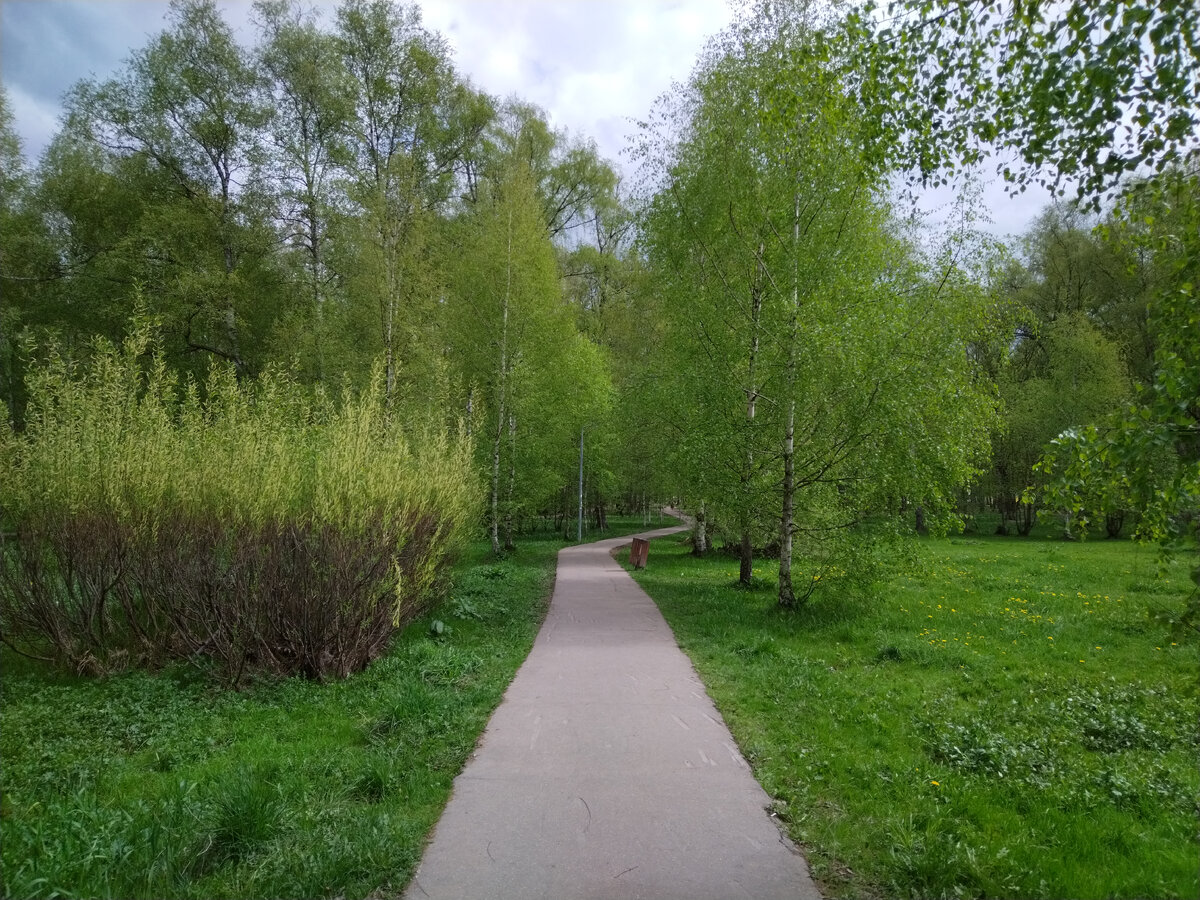 Фото автора 