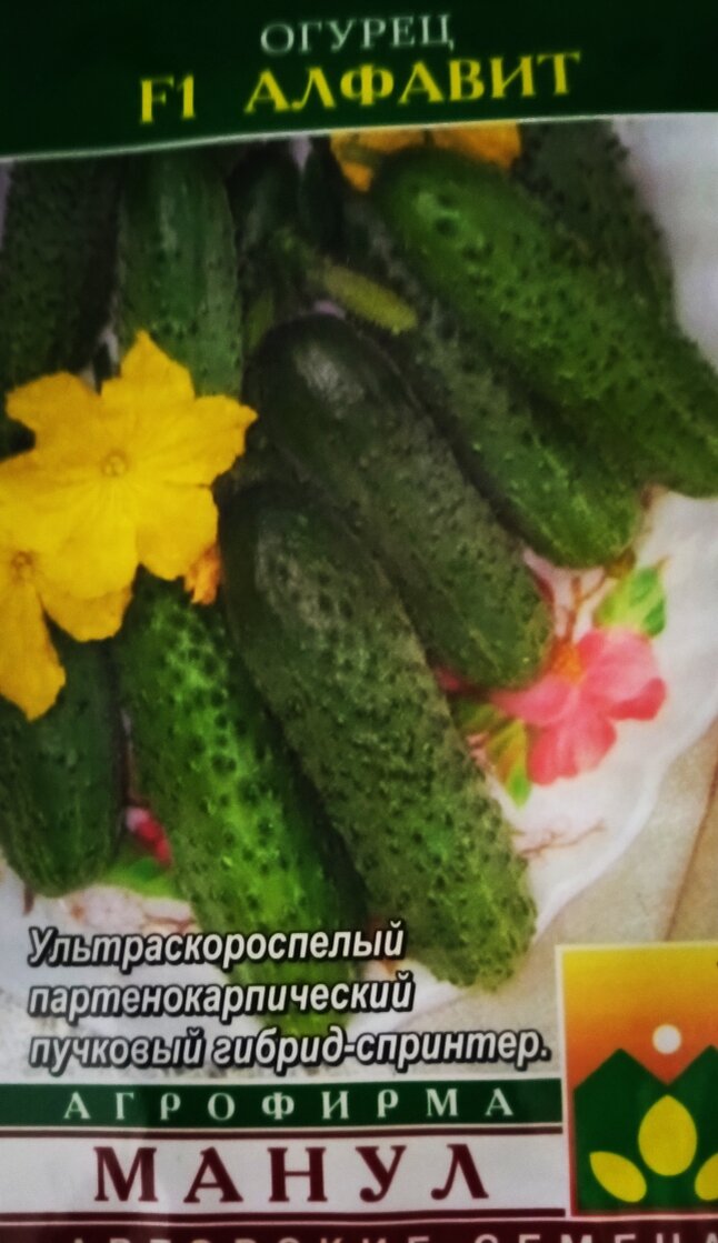 Огурец АЛФАВИТ F1