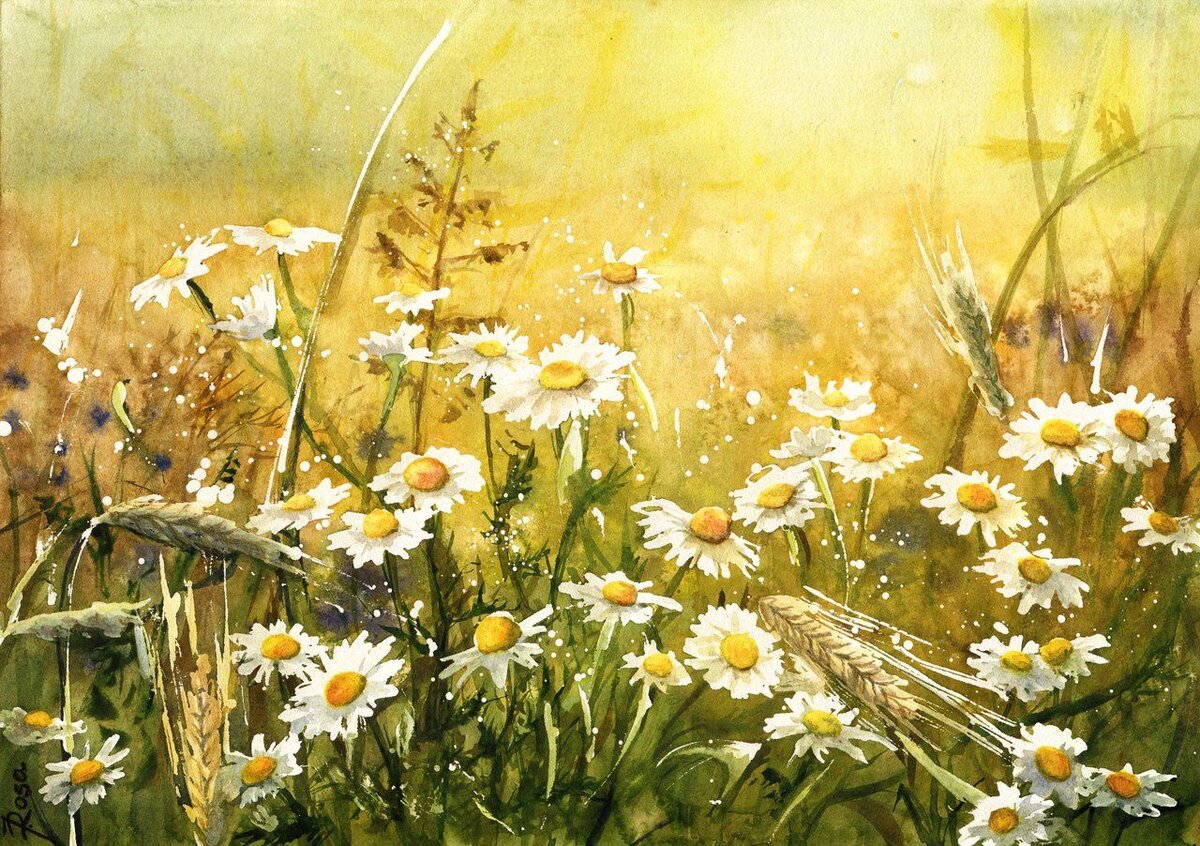 Изображение взято из открытых источников