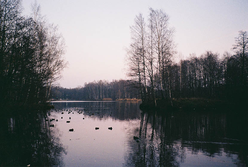 Сестрорецк. Фото: Valeria Vaganian, Unsplash