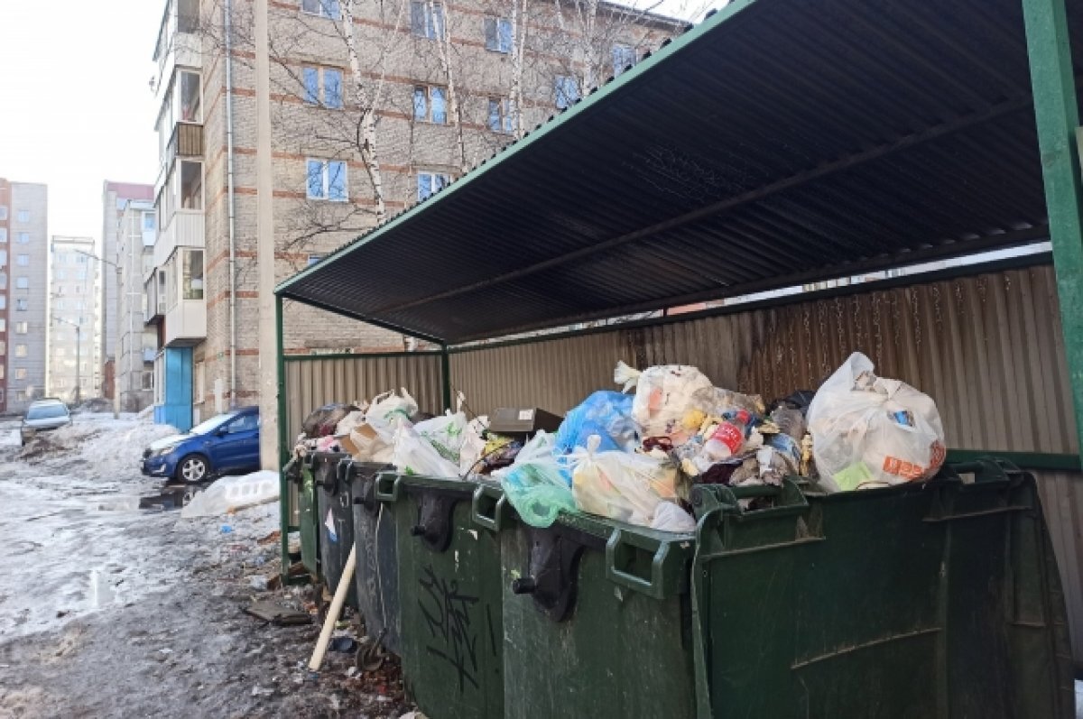    Томичи жалуются на переполненные мусорные контейнеры
