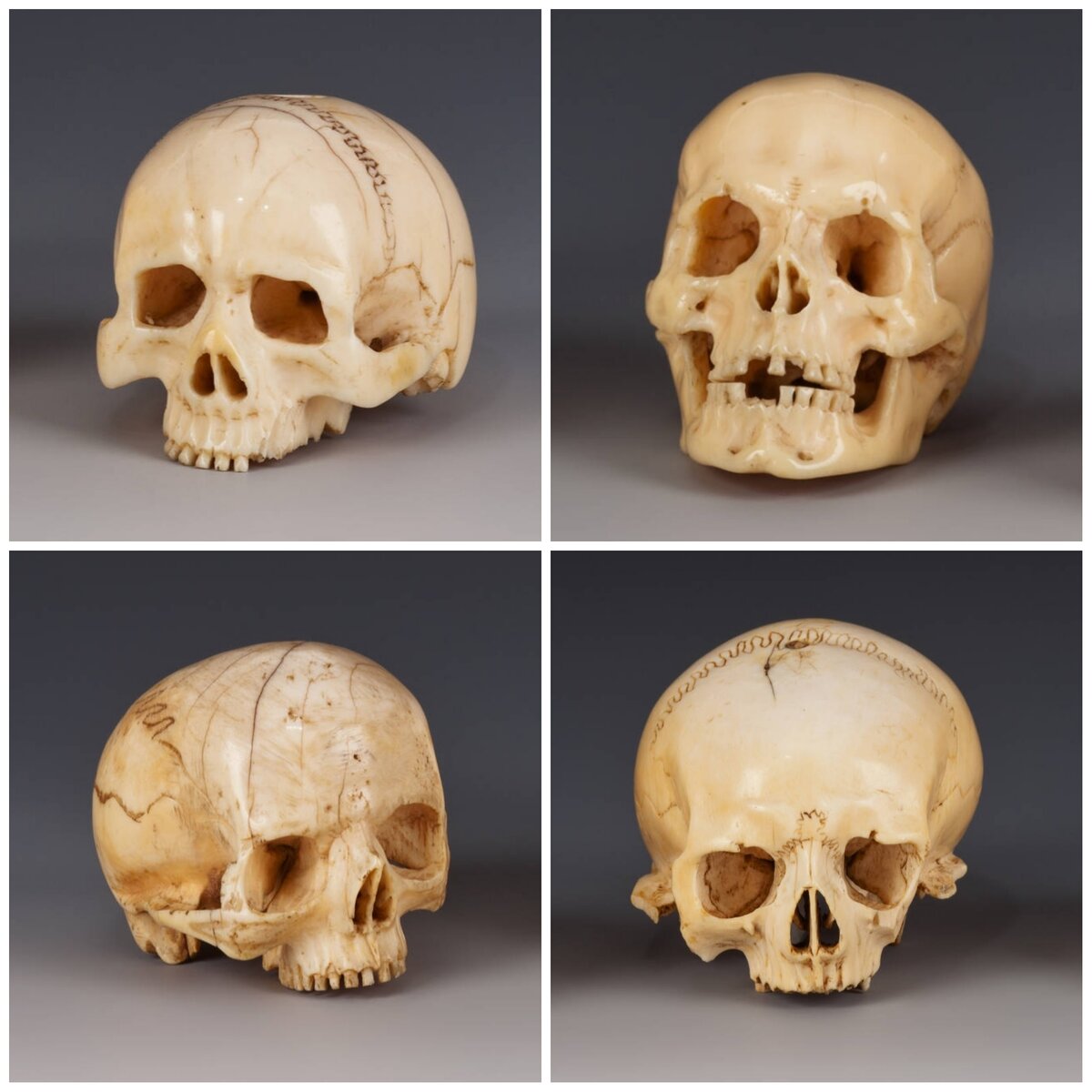 Резные черепа из коллекции Венского музея истории искусств. Размеры порядка 6 см, Германия, 16-27 вв. Анатомически точно вырезанный череп мог служить экспонатом коллекции. В то же время он свидетельствует о виртуозности и артистизме мастера в отношении точного воспроизведения человеческого черепа