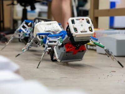    Новый робот-многоножка решает нехватку сенсоров большим количеством конечностей [ВИДЕО]