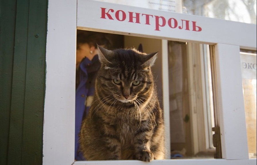 источник Яндекс-картинки