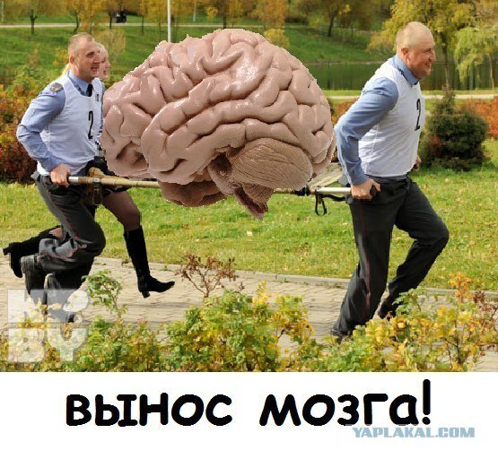 Мозги в подарок