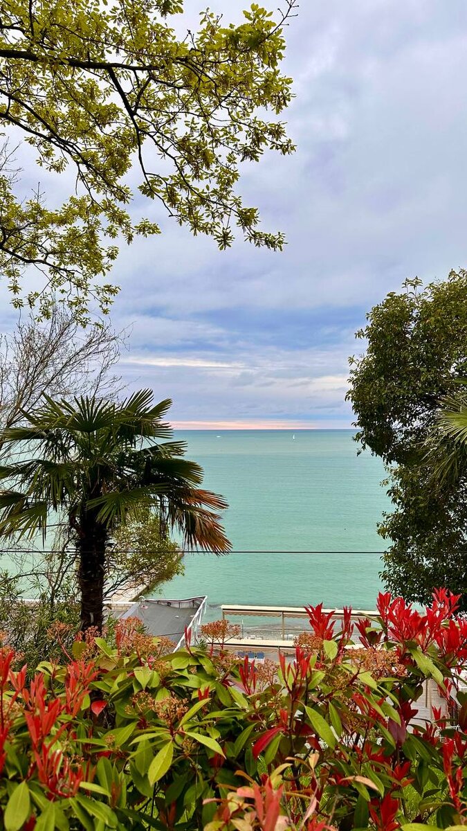 Панорама с видом на море в верхнем Приморском парке