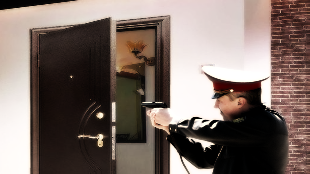 «Сквозь приоткрытую дверь виднелись следы борьбы» Что увидел старший ...