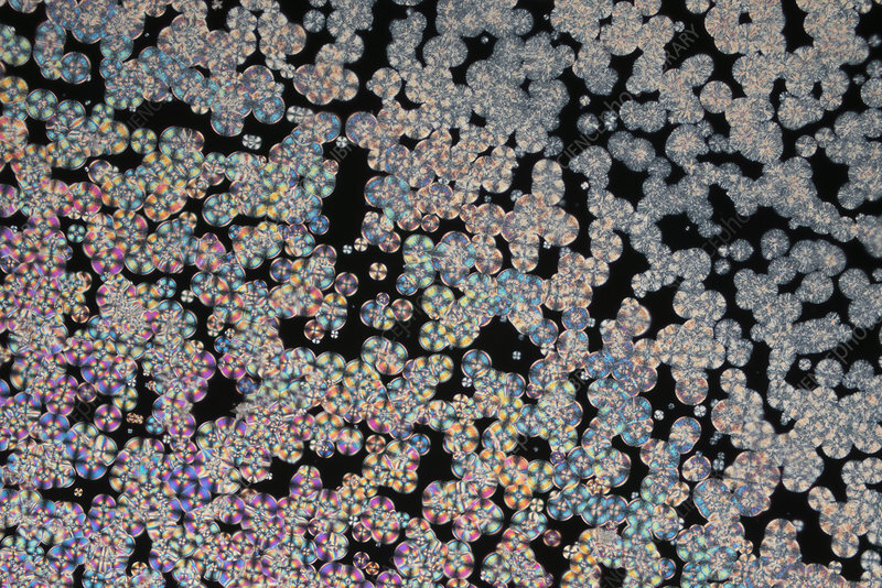 Вит. В3. Источник: https://www.sciencephoto.com/media/1146451/view/vitamin-b3-nicotinamide-and-niacinamide-polarized-light-microscopy