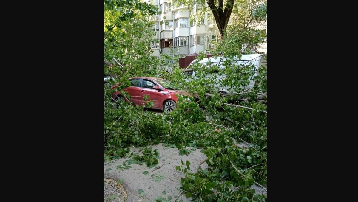     В Ростове спасатели ликвидируют последствия падения дерева на пять автомобилей, торговый павильон, пострадала местная жительница, подробностями поделились в управлении ГО и ЧС города.