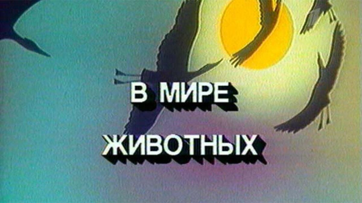 Картинка из открытых источников 