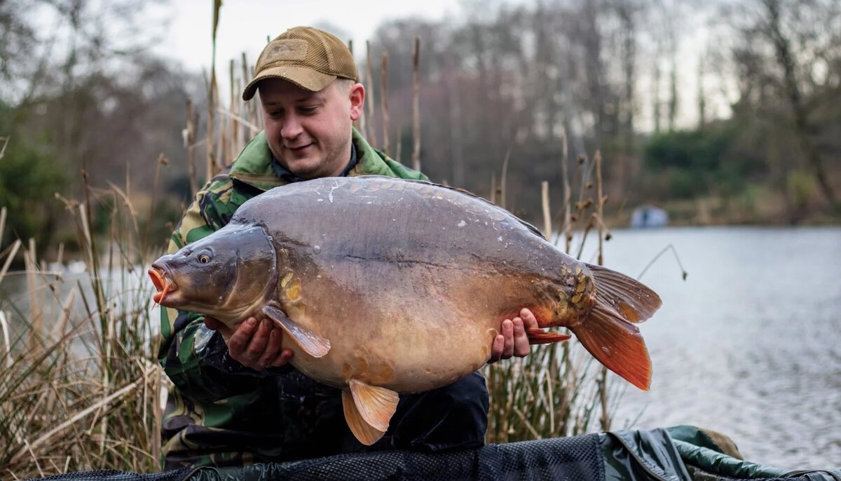 платная рыбалка биг карп