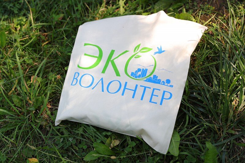 Экологическое волонтерство картинки