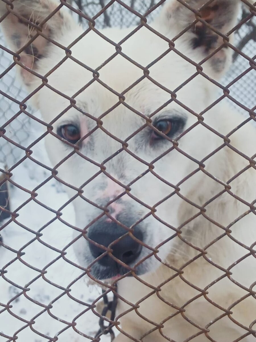 Фото из личного архива 