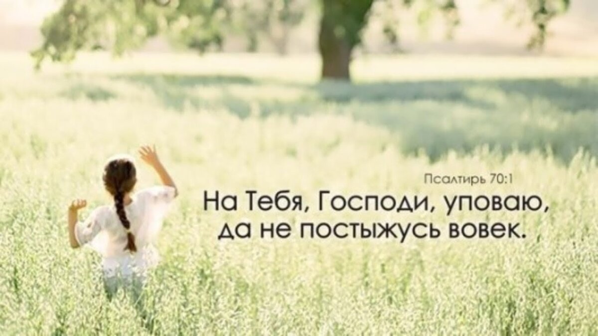 Из открытых источников Яндекса.