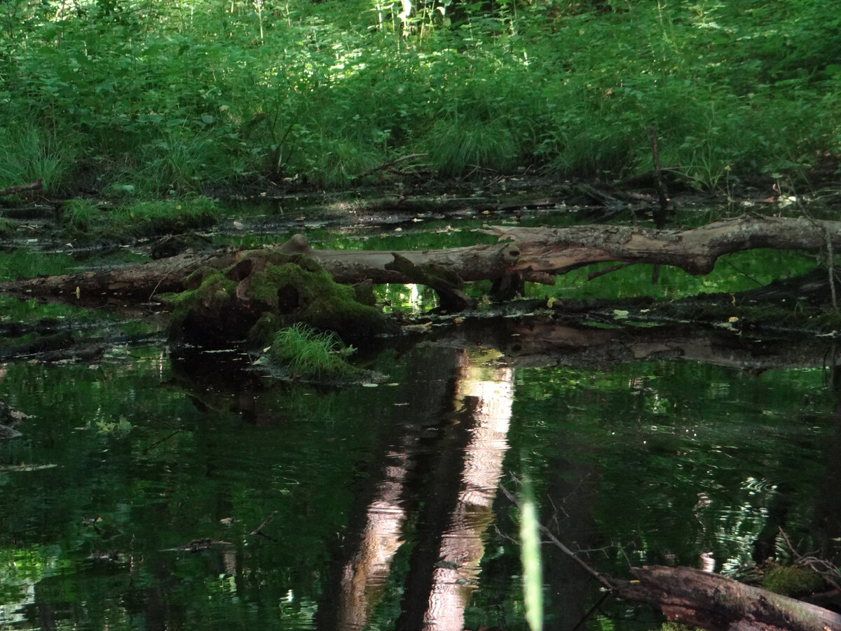 Листай дальше ----->