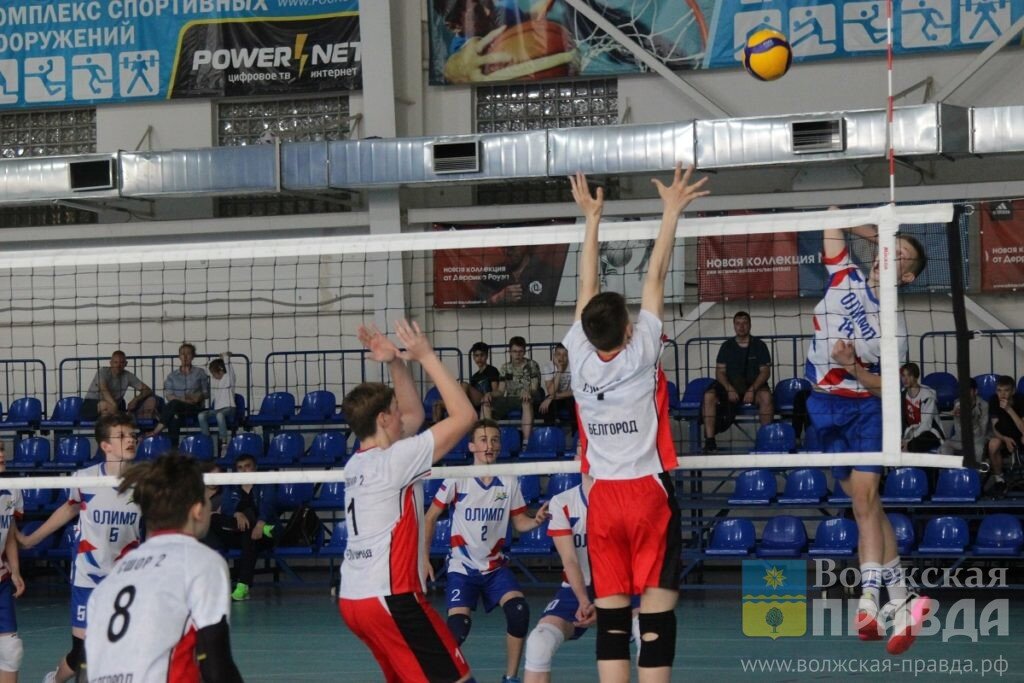 Волжский где можно записаться на волейбол