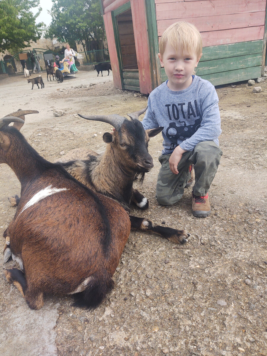 Контрактный зоопарк, парк Тайган, Крым, 2023