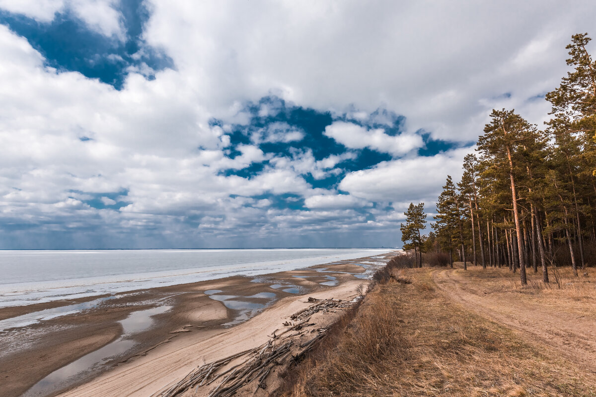 Beautiful view on the shore of the Ob Sea Photo by Natalia Degtyarev 2022 Типичн