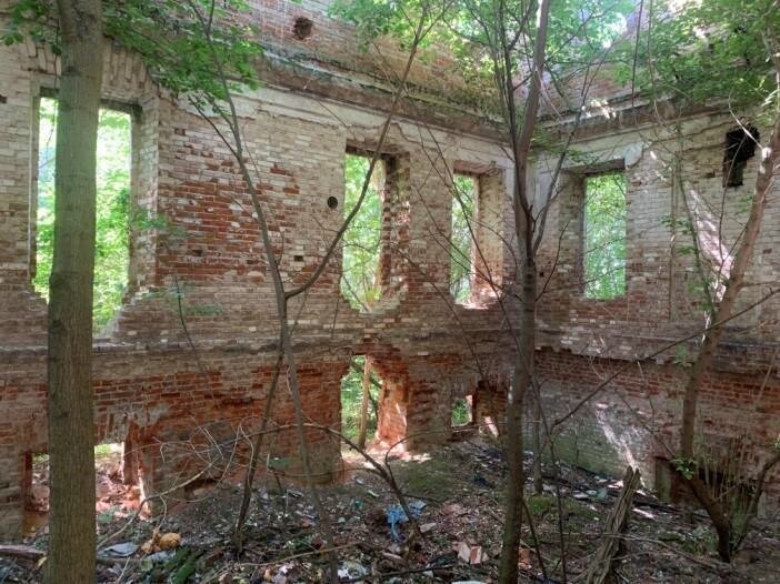    Сейчас владения Оболенских находятся в упадке Арина Полтанова