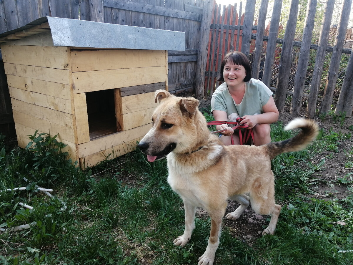 Анна и Герда. Новый домик Герды