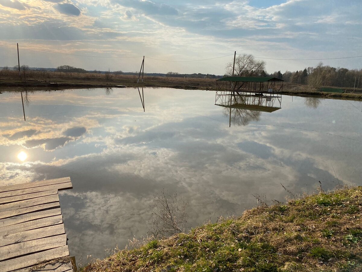 Рыбалка маклино золотой